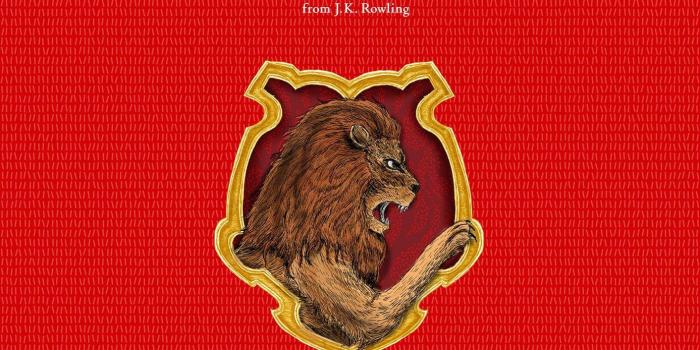 1387x2048 Gryffindor Wallpaper (63+ images)