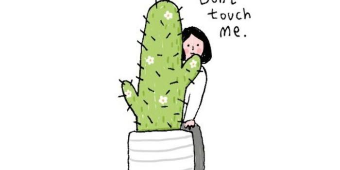 1080x1834 linaphat Cactus Wallpaper Don't Touch Me | Aesthetic (sort of) di