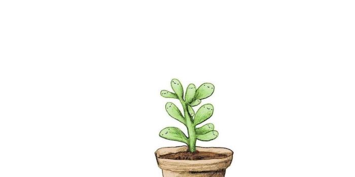 1200x2133 Shristi Puri on Wallpapers | Color wallpaper iphone