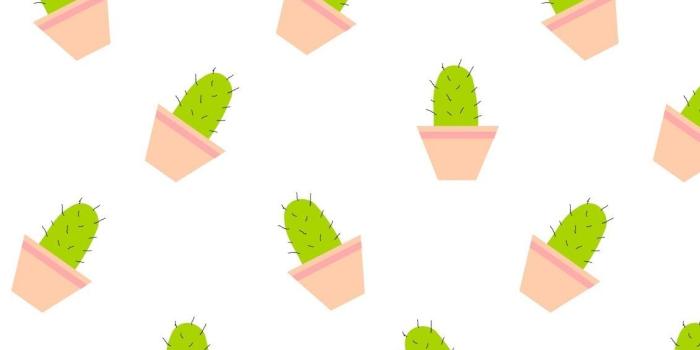 1131x1600 24 Pretty Photo of Scrapbook Aesthetic Wallpaper | cactus