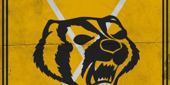 900x1600 Hufflepuff Wallpapers