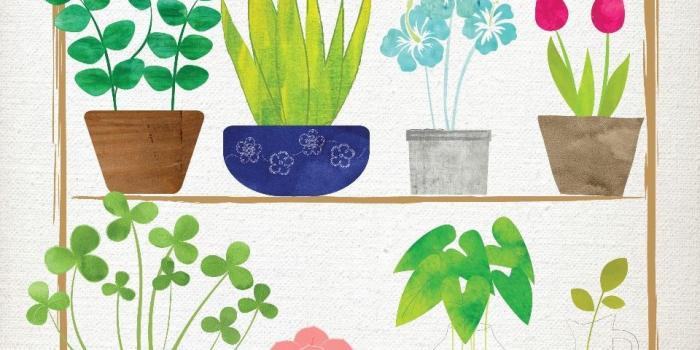 960x1704 Notebook | Notebook in 2019 | Watercolor art, Botanical line drawing