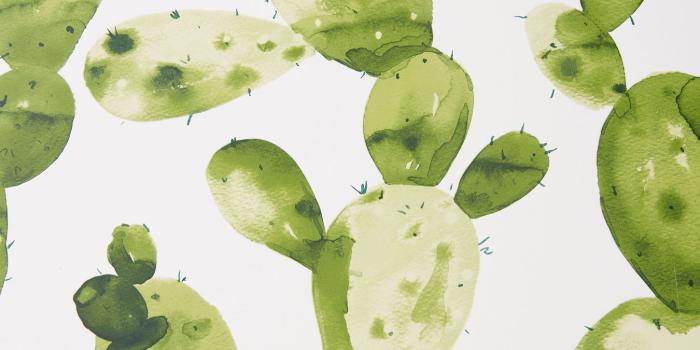 1450x2175 Ghosted Cactus Wallpaper