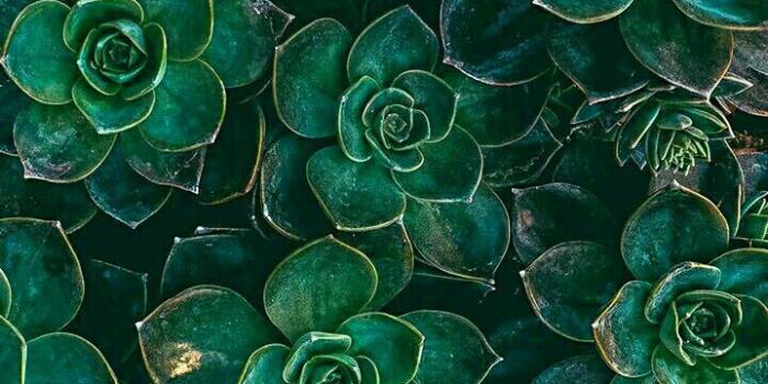 720x1280 florida, florida blogger, downtown fashion, bloggers, portrait