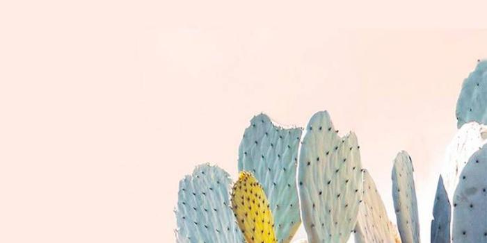 750x1334 Aly on Aesthetic | Plants, Cactus, Phone backgrounds
