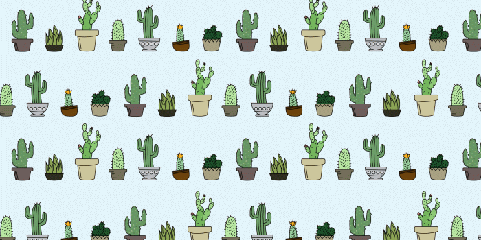 3000x2250 Succulents Wallpapers