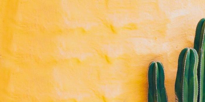 1080x1080 Jana Thomas on wallpaper | Yellow background, Plants, Green