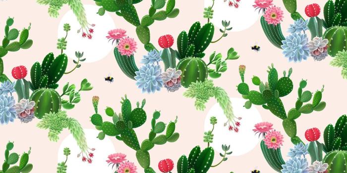1600x900 45+ Cactus Pattern Wallpapers - Download at WallpaperBro