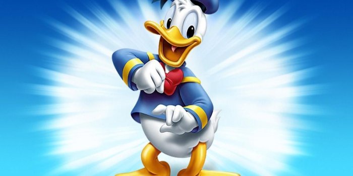 1600x1200 Free download Funny Animated Cartoon Pictures Duck Animated