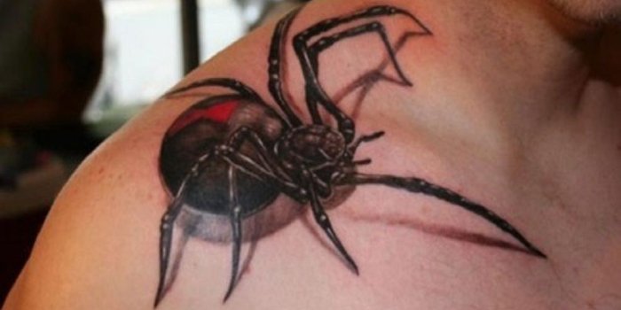 1024x768 tattoo-ideas-3d-spider4-free-hd-wallpapers - HD Wallpaper
