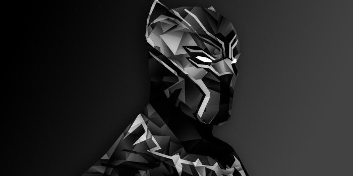 2560x1440 Top 10 HD 1080P Black Panther Wallpapers