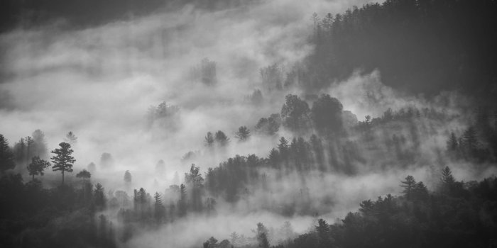 2048x1206 5229538 2048x1206 #fog, #smoke, #mist, #morning, #dark, #cloudy