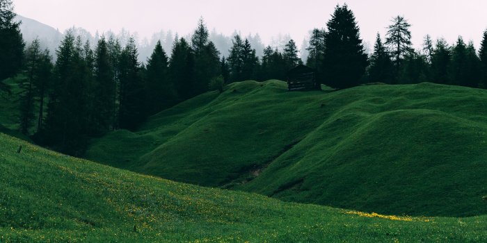 3648x2432 Hillside HD wallpapers Collection