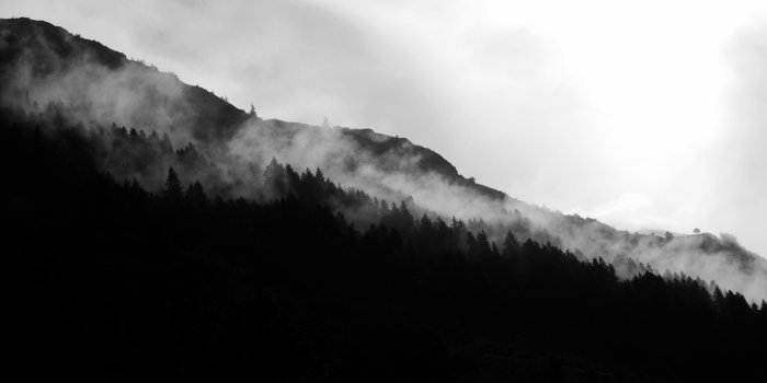 4608x2592 5229538 2048x1206 #fog, #smoke, #mist, #morning, #dark, #cloudy
