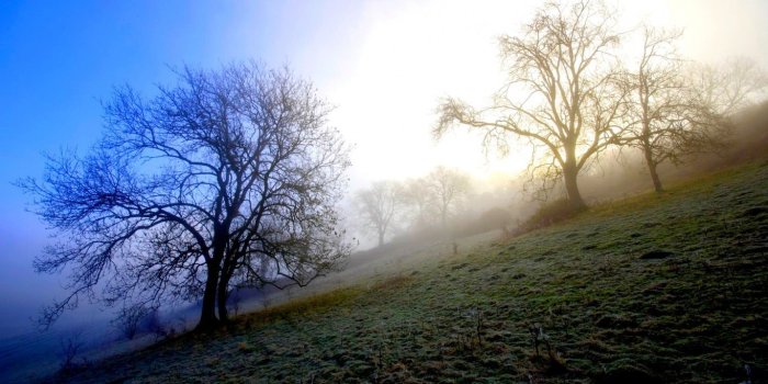 1366x768 Beautiful hillside | Appalachian Trail | Mountain wallpaper