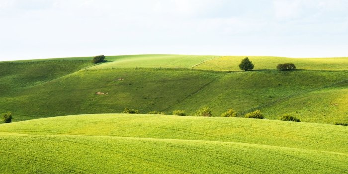 2560x1600 Hillside HD wallpapers Collection