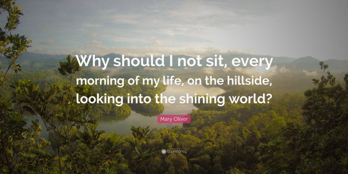 3840x2160 Mary Oliver Quote: “Why should I not sit, every morning of my life