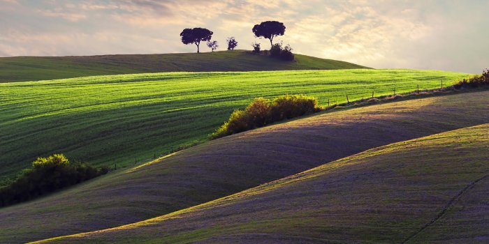 2560x1440 Hillside HD wallpapers Collection