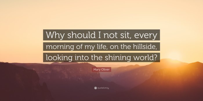 3840x2160 Mary Oliver Quote: “Why should I not sit, every morning of my life