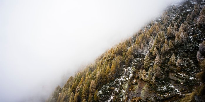5120x2880 Fog over winter hillside Mac Wallpaper Download | Free Mac