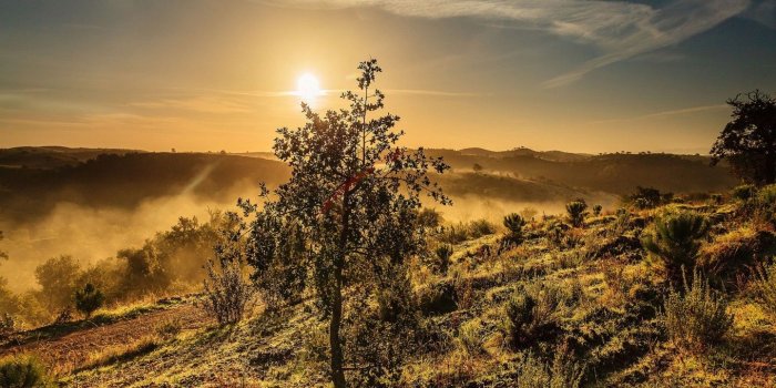 1440x900 Wonderful Hillside At Sunrise Hd Wallpaper 566912 : Wallpapers13.com