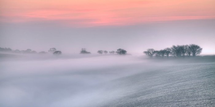1130x753 Thick fog on hillside & sunset HD