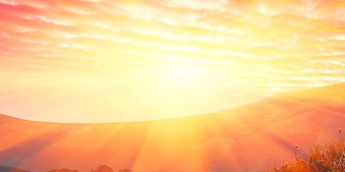 1242x2208 Sunny spring hillside | iPhone Wallpapers in 2019 | Beautiful