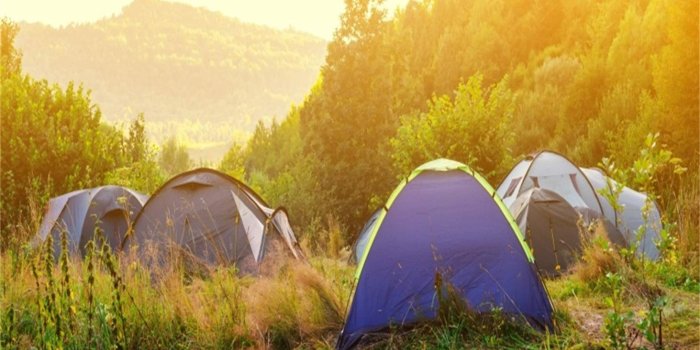 1463x1000 Amazon.com : Laeacco 10x6.5 Hillside Camping Scene Backdrop Vinyl