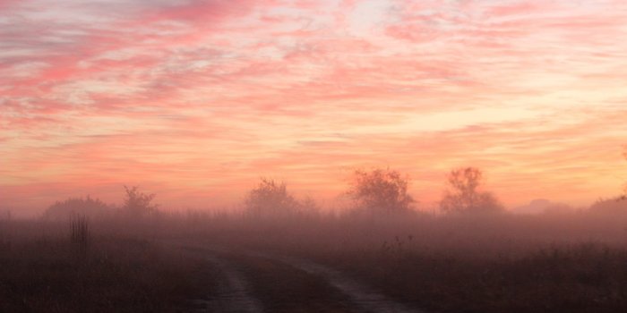 1920x1080 HD wallpapers Page 1111: Quiet Place Green Wallpaper Gallery. Meadow