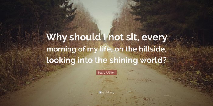3840x2160 Mary Oliver Quote: “Why should I not sit, every morning of my life