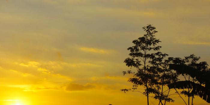 4898x3265 Free stock photo of early morning, Good Morning, HD wallpaper