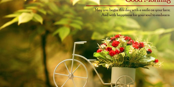 2516x1600 Good Morning HD Wallpapers