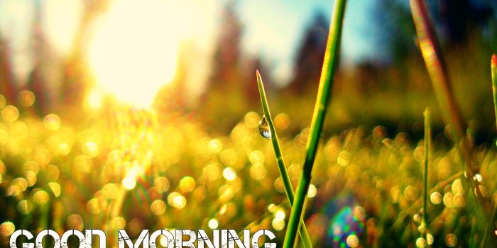1920x1080 Good Morning Wallpapers Free Download