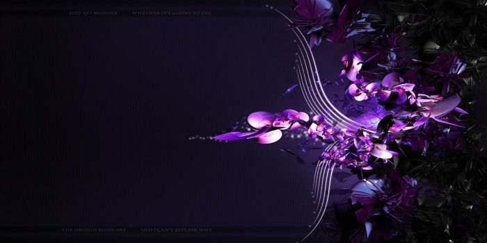 1680x1050 Purple Orchid wallpapers | Purple Orchid stock photos