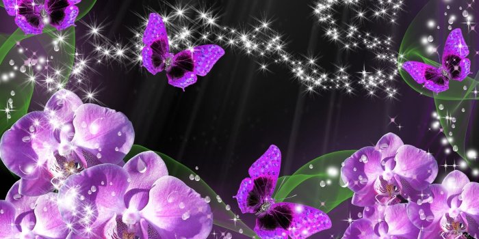 1920x1080 Purple Orchid Wallpapers (68+ background pictures)