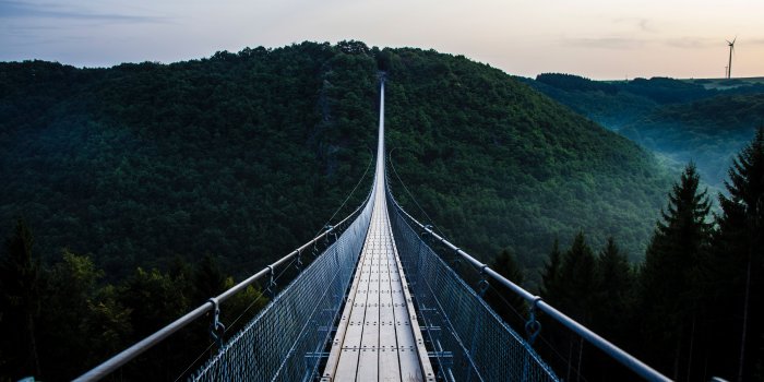 5406x3604 5382574 5406x3604 #confidence, #long bridge, #evergreen, #suspension