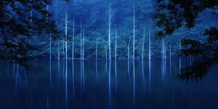 1920x1200 Wallpaper Forest, night, hillside, lake, trees, fog 1920x1200 HD
