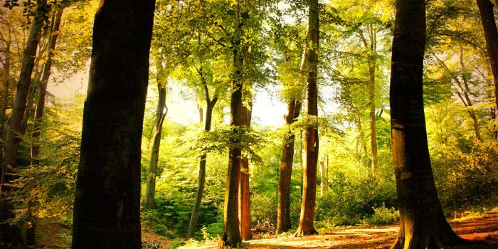 1920x1200 Places & landscapes Wallpaper