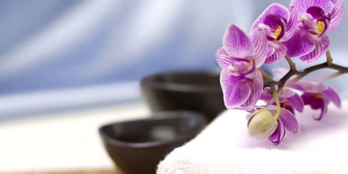 1177x728 Blue And Purple Orchid Wallpaper | Amazing Wallpapers