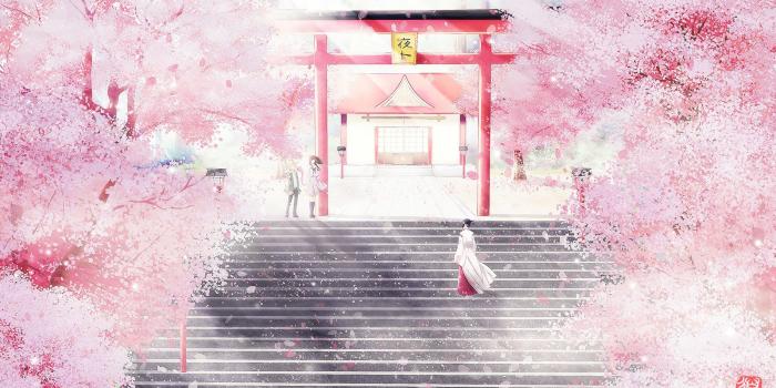 1900x1135 305 Cherry Blossom HD Wallpapers | Background Images