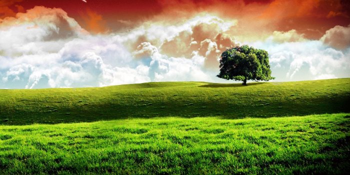 1920x1200 9-india-wallpaper - Dumb Little Man