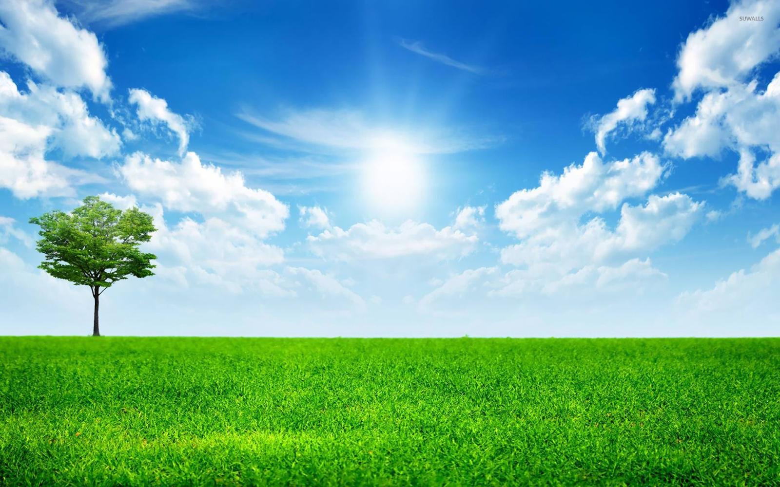 1920x1200 Sunny blue sky wallpaper - Nature wallpapers - #14782