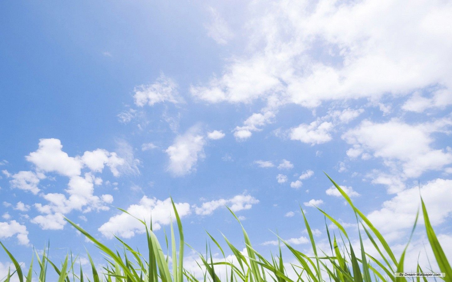 1440x900 Free Wallpaper - Free Nature wallpaper - Wallpaper of vast country