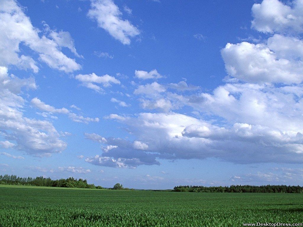 1024x768 Desktop Wallpapers » Natural Backgrounds » Green Farm and Blue Sky