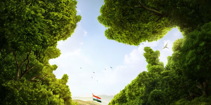 3000x3045 Wallpaper India, Flag of India, Trees, CGI, HD, Creative Graphics, #9204