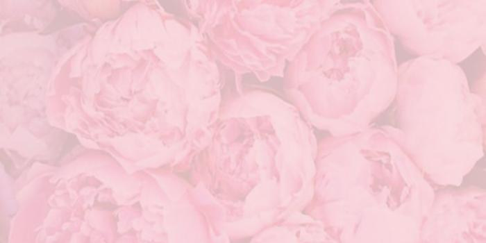 750x1334 Wallpaper, minimal, quote, quotes, inspirational, pink, girly