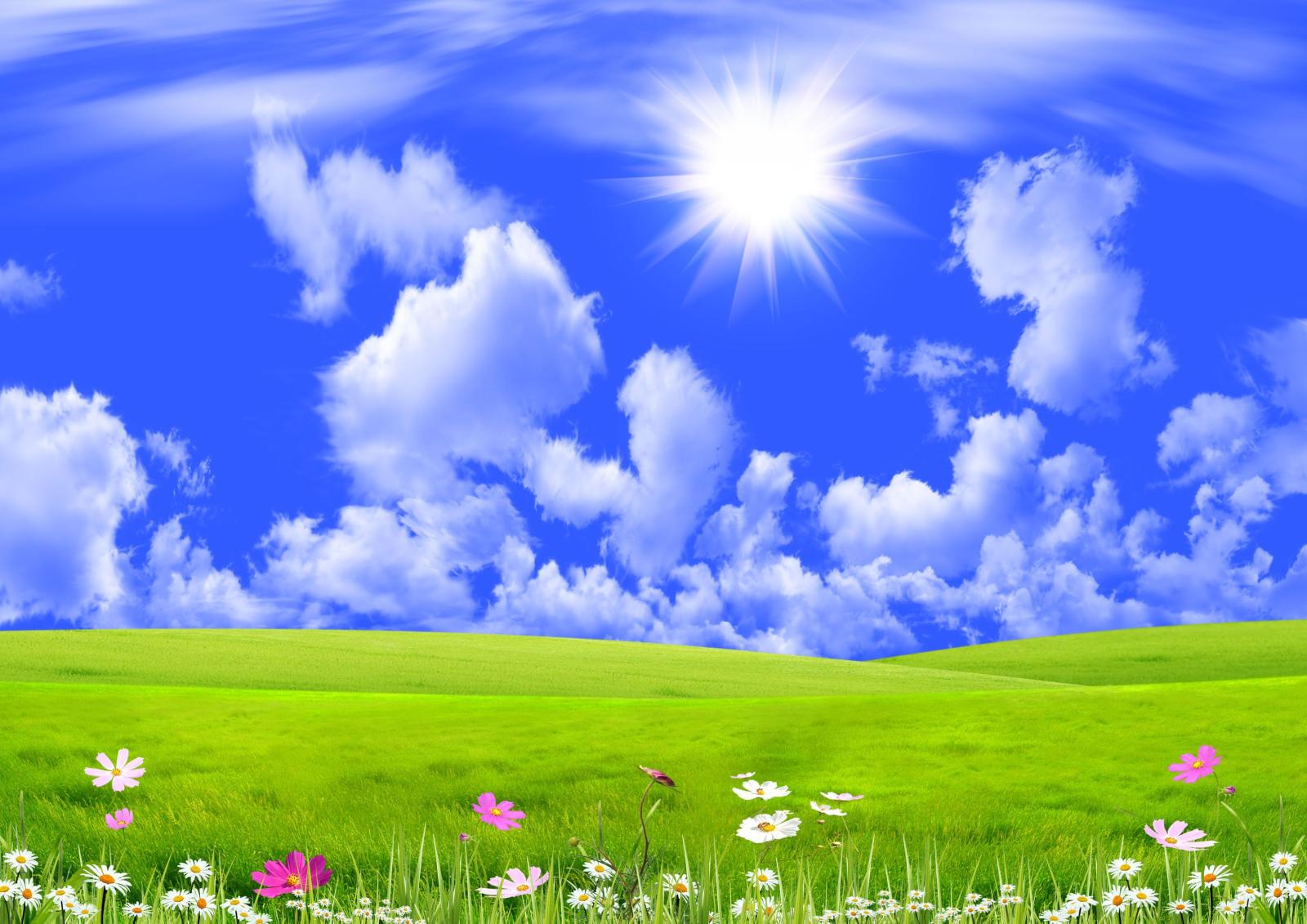 3508x2480 Sunshine Nature Background 137.21 Kb | Beautiful Day in 2019
