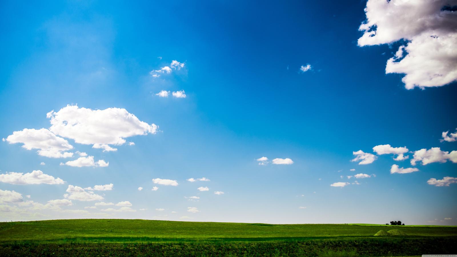 5120x2880 Green Field Nature Blue Sky ❤ 4K HD Desktop Wallpaper for 4K Ultra