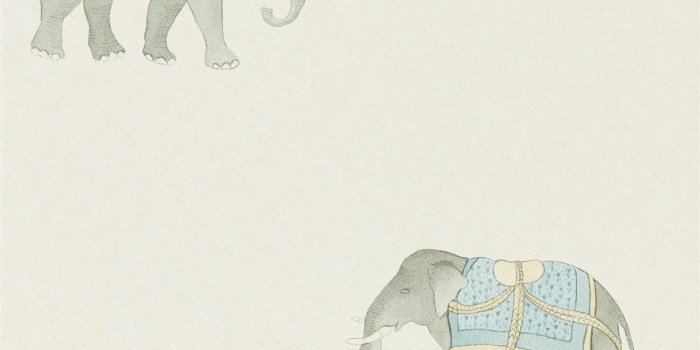 1366x1366 Style Library - The Premier Destination for Stylish and Quality