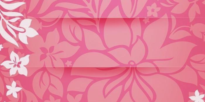 736x1308 Girly Wallpapers Hd Best Wallpaper Hd - Girly Wallpapers For Phone